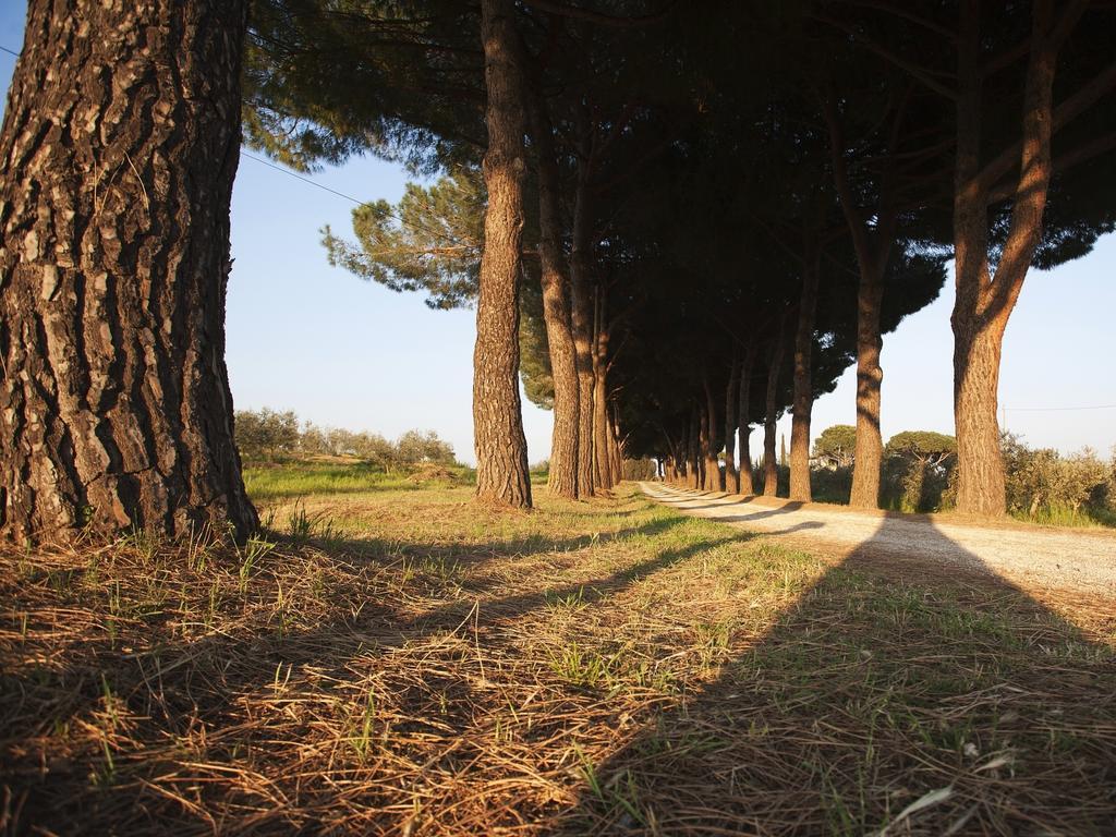 Agriturismo Peretti Fonteblanda Buitenkant foto